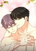 Secrets Of Enthusiastic Omega K BL Yaoi Alpha Manhwa Smut