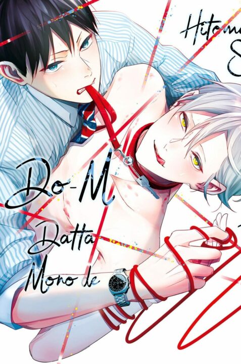 Sub.Dom.Love. BL Yaoi Smut Manga Adult (2)